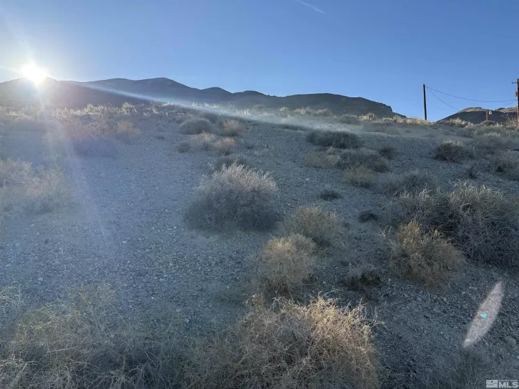 398 Walker, Walker Lake, Nevada 89415, ,Land,Residential,Walker,250000509