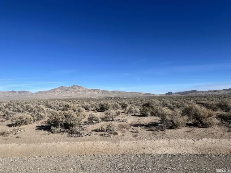 259 Mount Grant, Smith, Nevada 89430, ,Land,Residential,Mount Grant,250000166