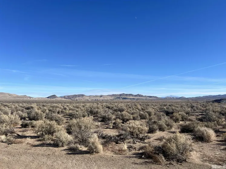 259 Mount Grant, Smith, Nevada 89430, ,Land,Residential,Mount Grant,250000166