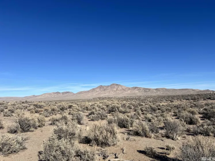 259 Mount Grant, Smith, Nevada 89430, ,Land,Residential,Mount Grant,250000166