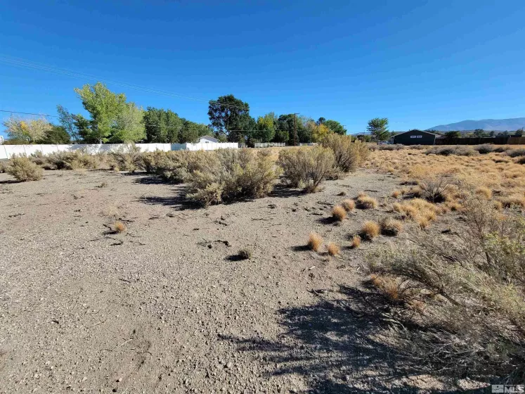 1765 Crockett, Gardnerville, Nevada 89410, ,Land,Residential,Crockett,250000021