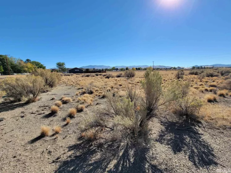1765 Crockett, Gardnerville, Nevada 89410, ,Land,Residential,Crockett,250000021