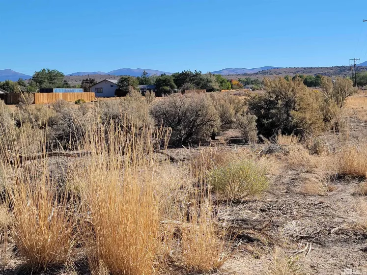 1765 Crockett, Gardnerville, Nevada 89410, ,Land,Residential,Crockett,250000021