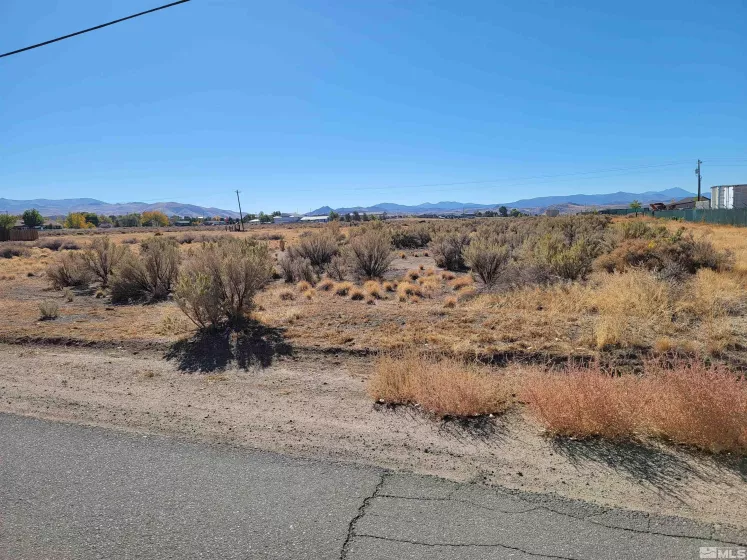 1765 Crockett, Gardnerville, Nevada 89410, ,Land,Residential,Crockett,250000021