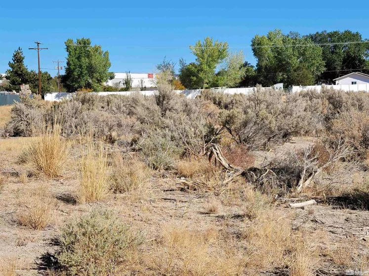 1765 Crockett, Gardnerville, Nevada 89410, ,Land,Residential,Crockett,250000021