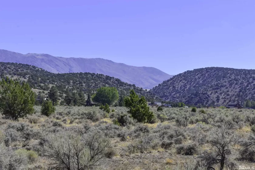 1167 Out-R-Way, Gardnerville, Nevada 89410, ,Land,Residential,Out-R-Way,240012772