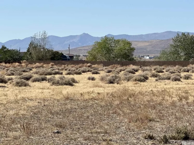 01516108 Idaho, Silver Springs, Nevada 89429, ,Land,Residential,Idaho,240012615