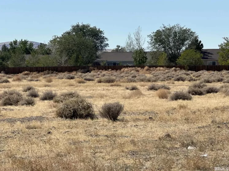 01516108 Idaho, Silver Springs, Nevada 89429, ,Land,Residential,Idaho,240012615