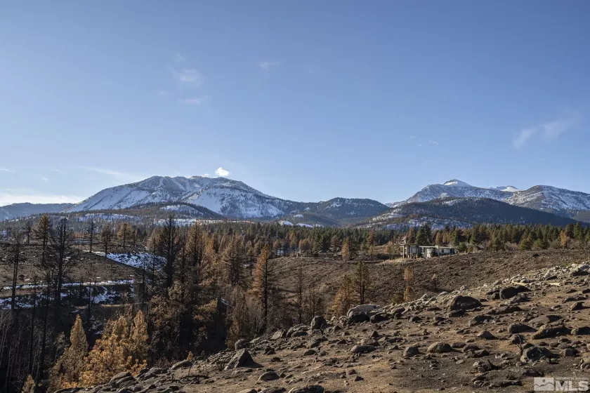 229 Earlham, Reno, Nevada 89511, ,Land,Residential,Earlham,250000271