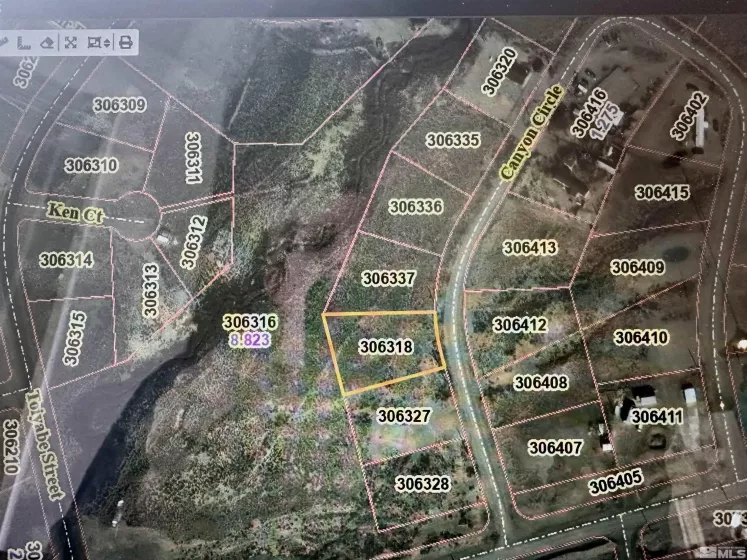 103 Canyon, Kingston, Nevada 89310, ,Land,Residential,Canyon,250000145