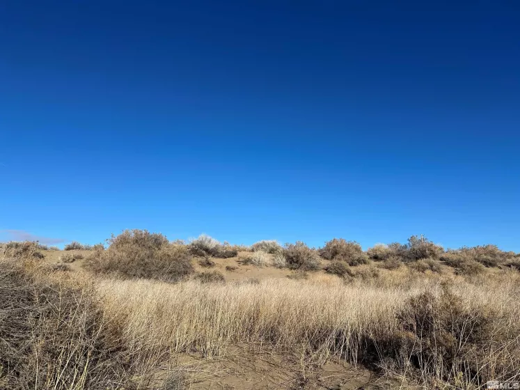 3630 River Valley, Silver Springs, Nevada 89429, ,Land,Residential,River Valley,240014933
