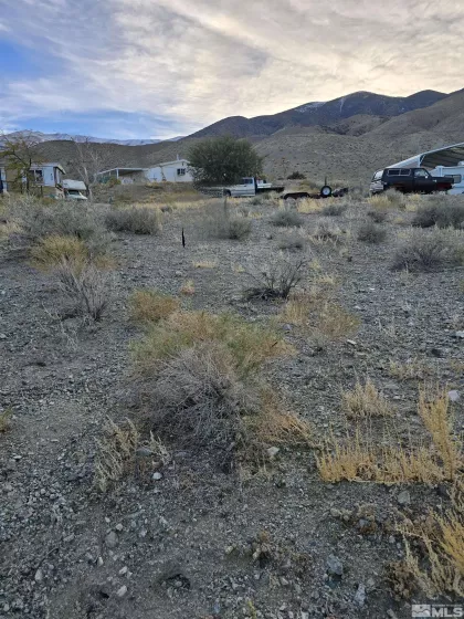 450 Walker, Walker Lake, Nevada 89415, ,Land,Residential,Walker,240014449
