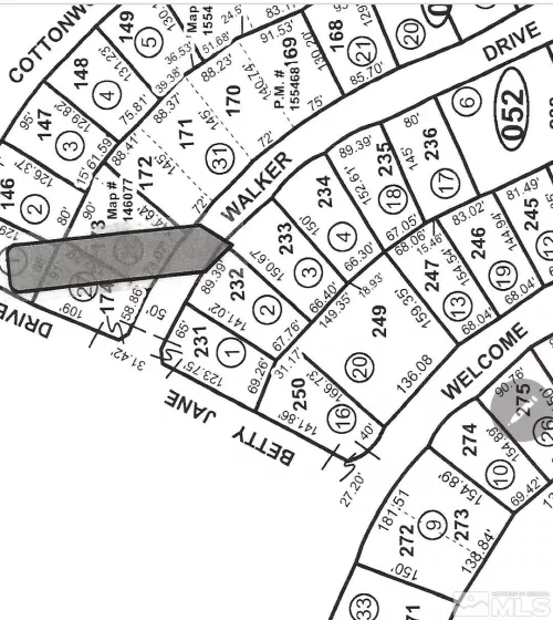 450 Walker, Walker Lake, Nevada 89415, ,Land,Residential,Walker,240014449