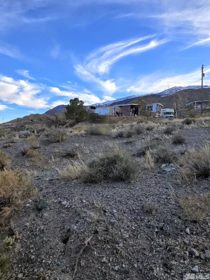450 Walker, Walker Lake, Nevada 89415, ,Land,Residential,Walker,240014449