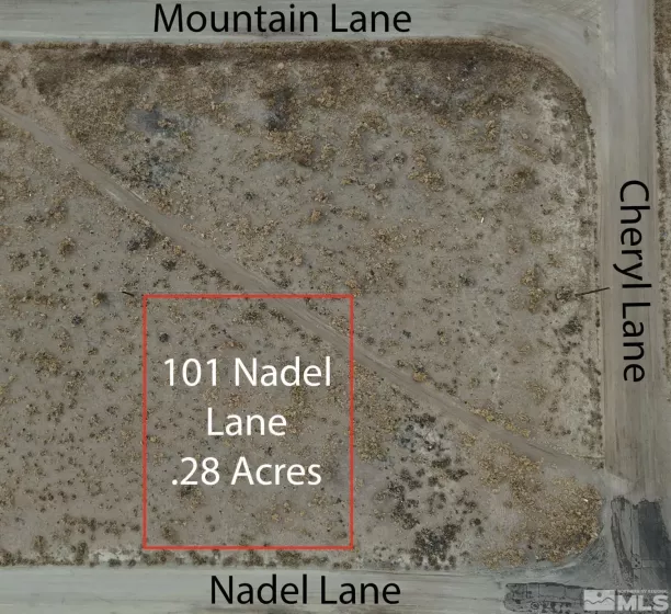 101 Nadel, Yerington, Nevada 89447, ,Land,Residential,Nadel,240013778