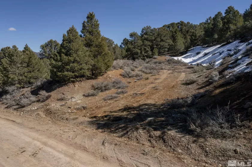2185 Hermit, Virginia City, Nevada 89521, ,Land,Residential,Hermit,240013442