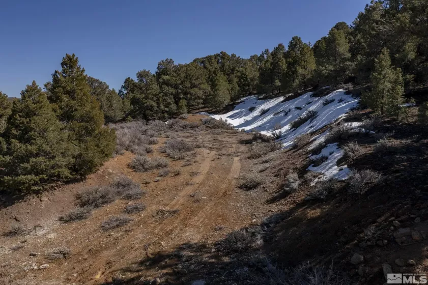 2185 Hermit, Virginia City, Nevada 89521, ,Land,Residential,Hermit,240013442