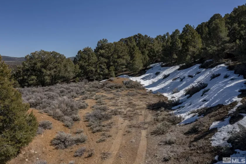 2185 Hermit, Virginia City, Nevada 89521, ,Land,Residential,Hermit,240013442