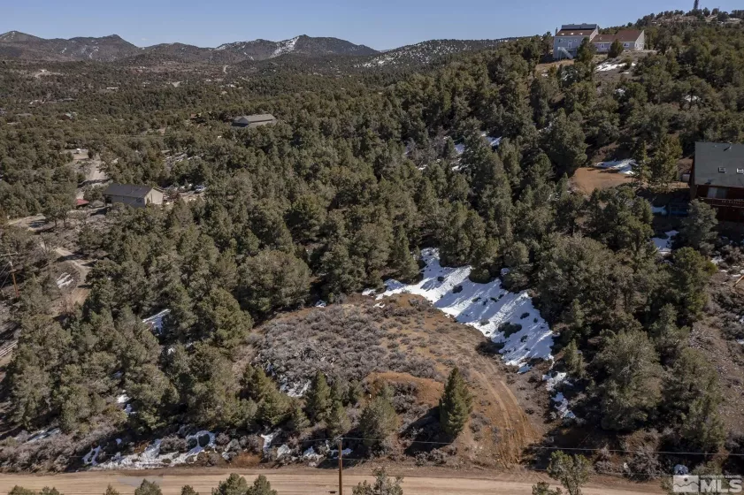 2185 Hermit, Virginia City, Nevada 89521, ,Land,Residential,Hermit,240013442