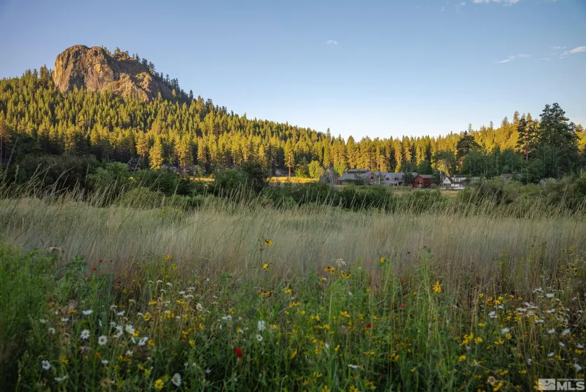 000 Glenbrook, Glenbrook, Nevada 89413, ,Land,Residential,Glenbrook,240011188