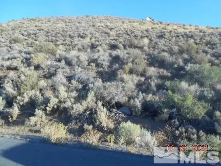 4340 Jumbo Grade, Washoe Valley, Nevada 89704, ,Land,Residential,Jumbo Grade,240011014