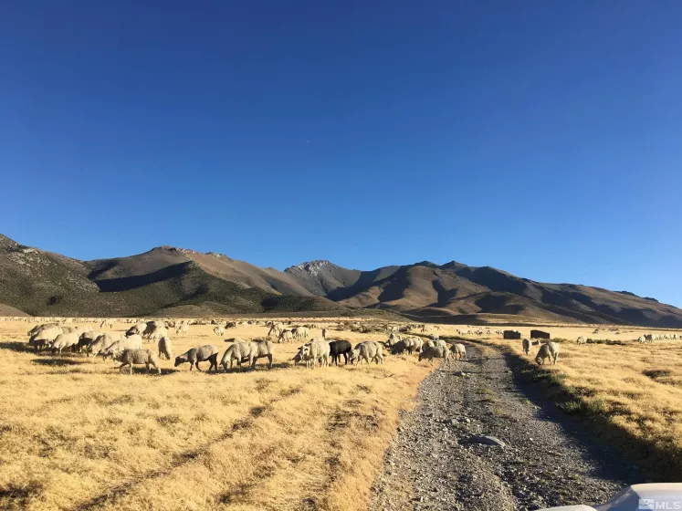 T32 R34 SEC21, Imlay, Nevada 89418, ,Land,Residential,SEC21,240000996