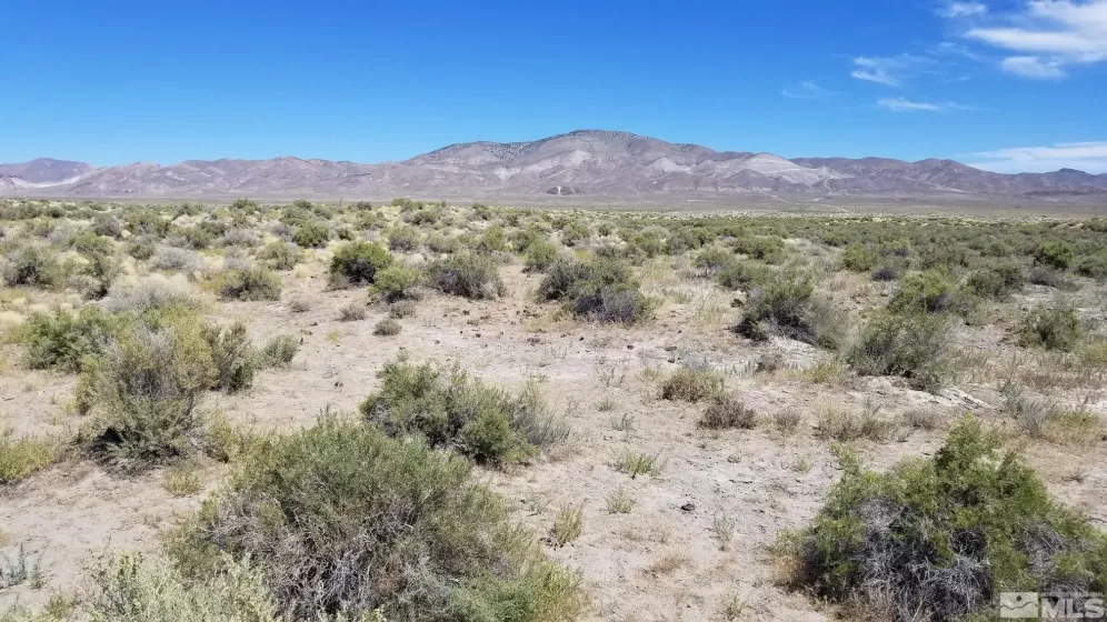 0 Airport, Lovelock, Nevada 89419, ,Land,Residential,Airport,230008602