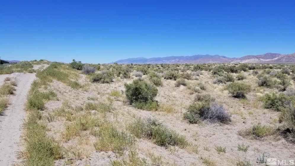 0 Airport, Lovelock, Nevada 89419, ,Land,Residential,Airport,230008602