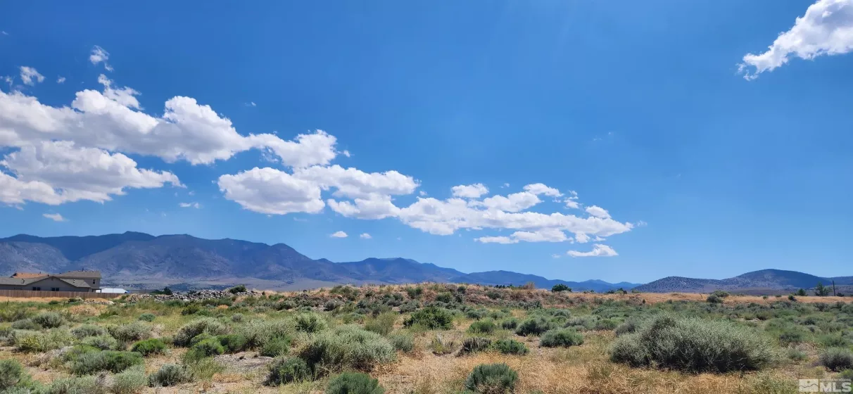 02968239 Dayton Valley, Dayton, Nevada 89403, ,Land,Residential,Dayton Valley,230008276