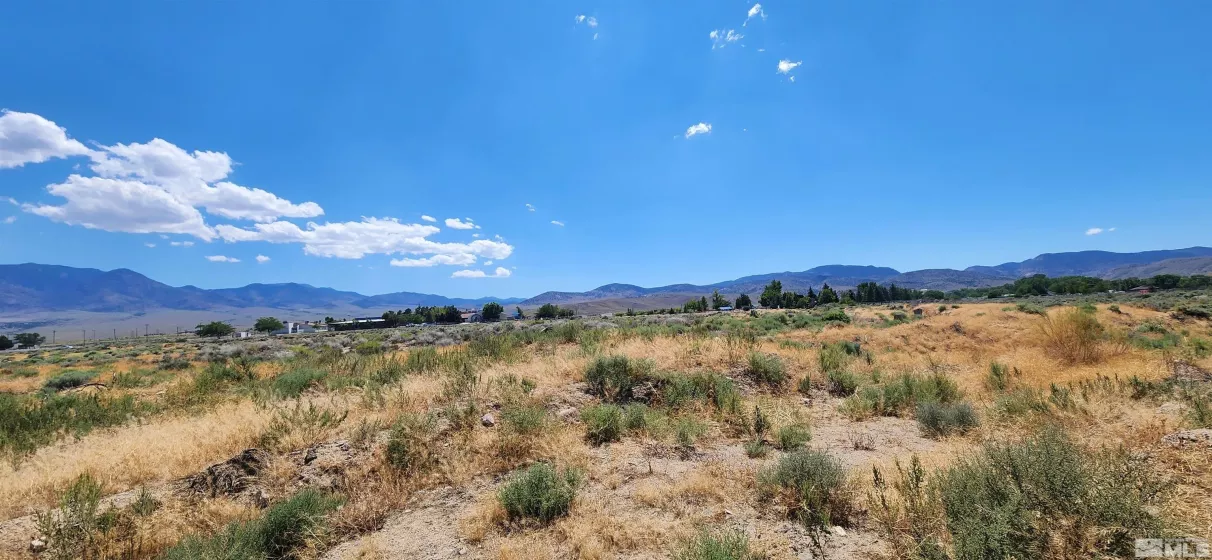 02968239 Dayton Valley, Dayton, Nevada 89403, ,Land,Residential,Dayton Valley,230008276