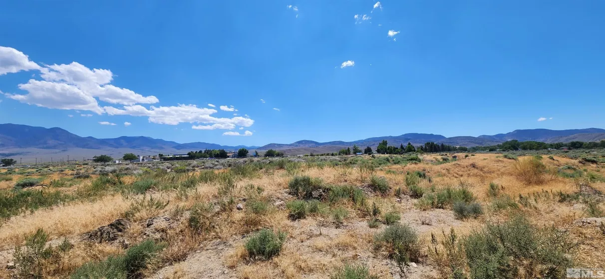 02968239 Dayton Valley, Dayton, Nevada 89403, ,Land,Residential,Dayton Valley,230008276