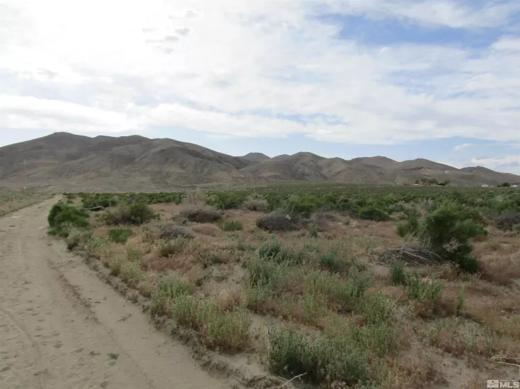 23 Shelter Hills, Yerington, Nevada 89447, ,Land,Residential,Shelter Hills,230005382