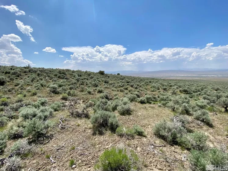 25355 Buffalo Canyon, Lovelock, Nevada 89419, ,Land,Residential,Buffalo Canyon,230005244