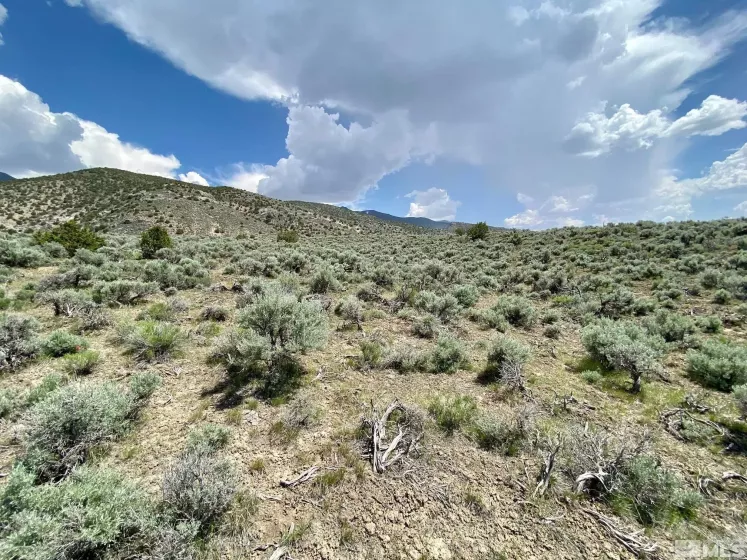 25355 Buffalo Canyon, Lovelock, Nevada 89419, ,Land,Residential,Buffalo Canyon,230005244