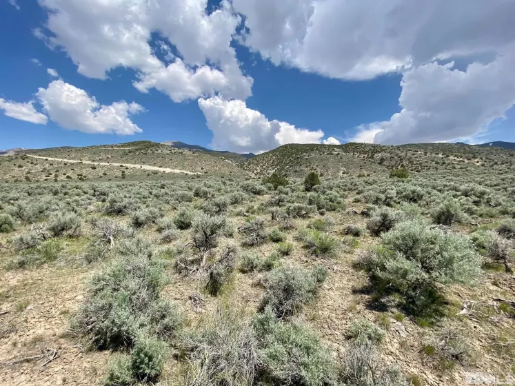 25355 Buffalo Canyon, Lovelock, Nevada 89419, ,Land,Residential,Buffalo Canyon,230005244