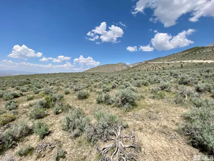 25355 Buffalo Canyon, Lovelock, Nevada 89419, ,Land,Residential,Buffalo Canyon,230005244
