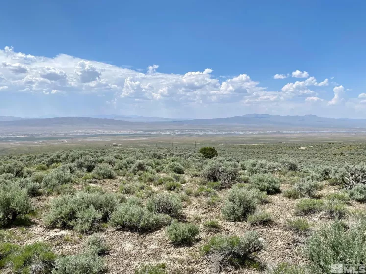 25355 Buffalo Canyon, Lovelock, Nevada 89419, ,Land,Residential,Buffalo Canyon,230005244
