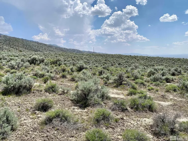 25355 Buffalo Canyon, Lovelock, Nevada 89419, ,Land,Residential,Buffalo Canyon,230005244