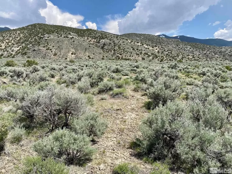 25355 Buffalo Canyon, Lovelock, Nevada 89419, ,Land,Residential,Buffalo Canyon,230005244