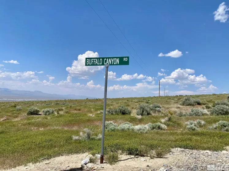 25355 Buffalo Canyon, Lovelock, Nevada 89419, ,Land,Residential,Buffalo Canyon,230005244
