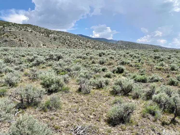 25355 Buffalo Canyon, Lovelock, Nevada 89419, ,Land,Residential,Buffalo Canyon,230005244