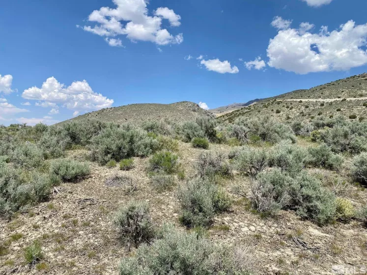 25355 Buffalo Canyon, Lovelock, Nevada 89419, ,Land,Residential,Buffalo Canyon,230005244