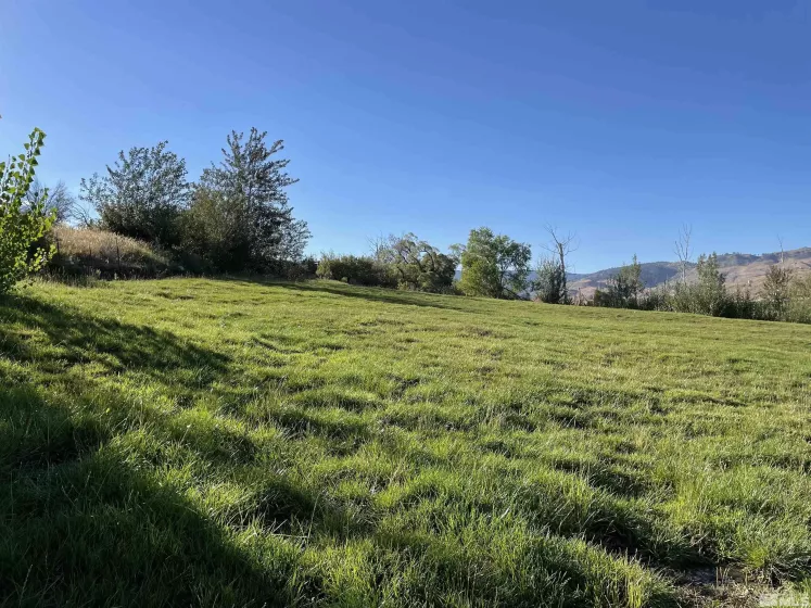 3380 Mario, Reno, Nevada 89523, ,Land,Residential,Mario,230005169