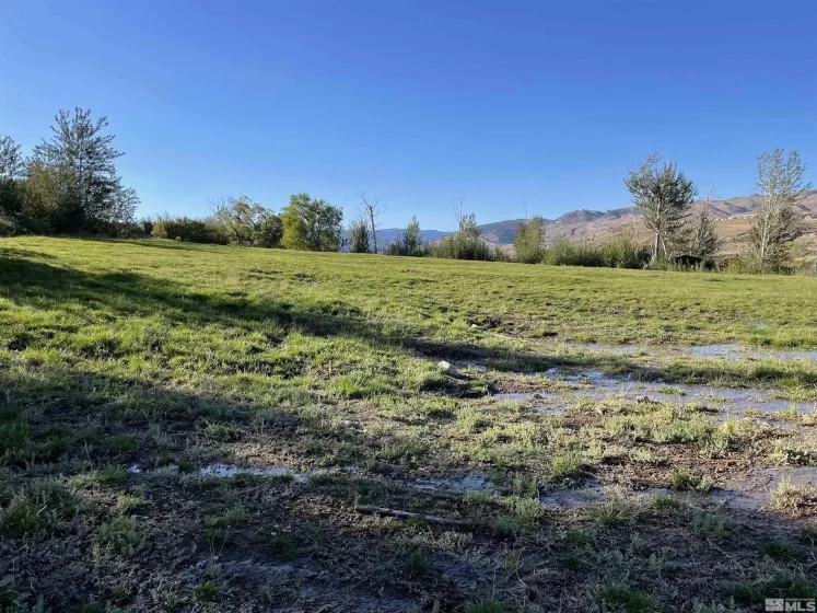 3380 Mario, Reno, Nevada 89523, ,Land,Residential,Mario,230005169