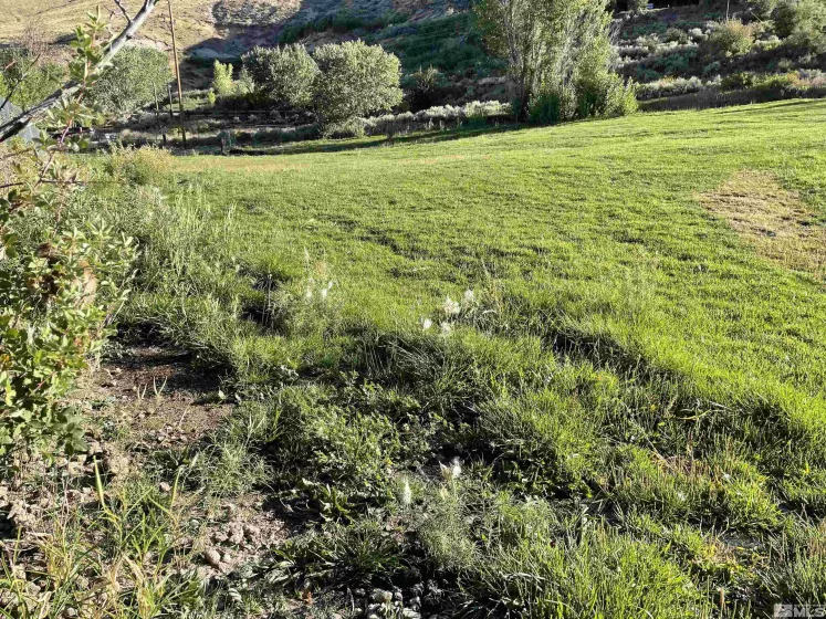 3380 Mario, Reno, Nevada 89523, ,Land,Residential,Mario,230005169
