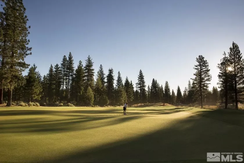 Golf Course