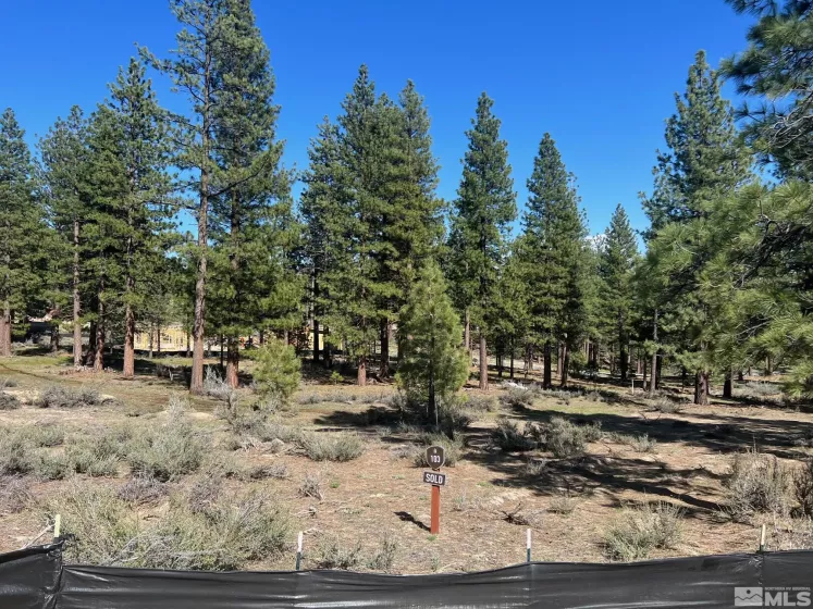 3562 Knob Point, Carson City, Nevada 89705, ,Land,Residential,Knob Point,230005093