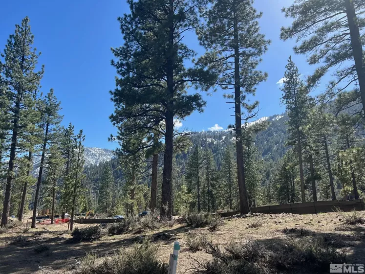 3562 Knob Point, Carson City, Nevada 89705, ,Land,Residential,Knob Point,230005093