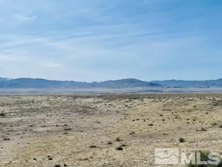 APN Poker Brown, Lovelock, Nevada 89419, ,Land,Residential,APN Poker Brown,230003946