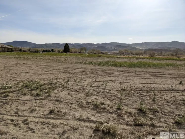 907 Whitacre, Yerington, Nevada 89447, ,Land,Residential,Whitacre,220005048